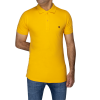 زرد