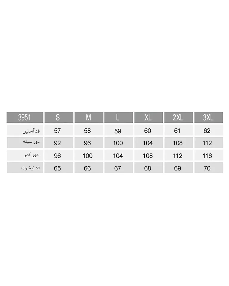 تیشرت آستین بلند زنانه ناربن Narbon کد 3951 (3)