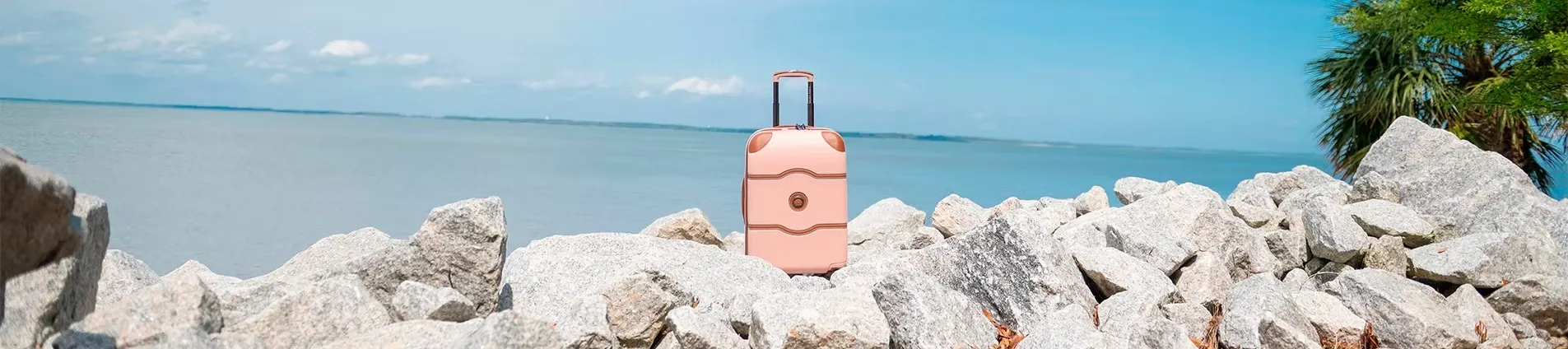 دلسی (Delsey) (1)