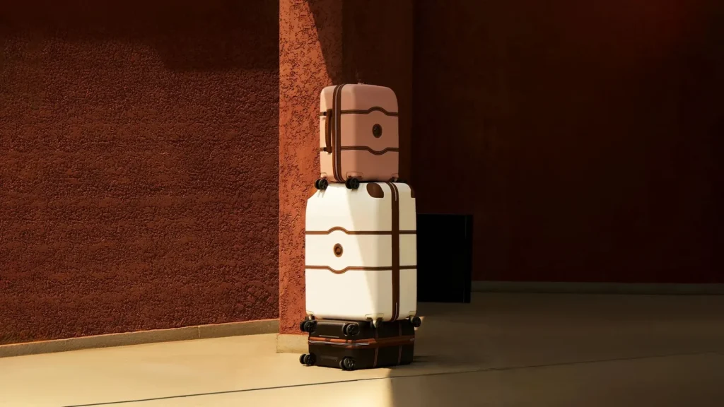 دلسی (Delsey) (10)