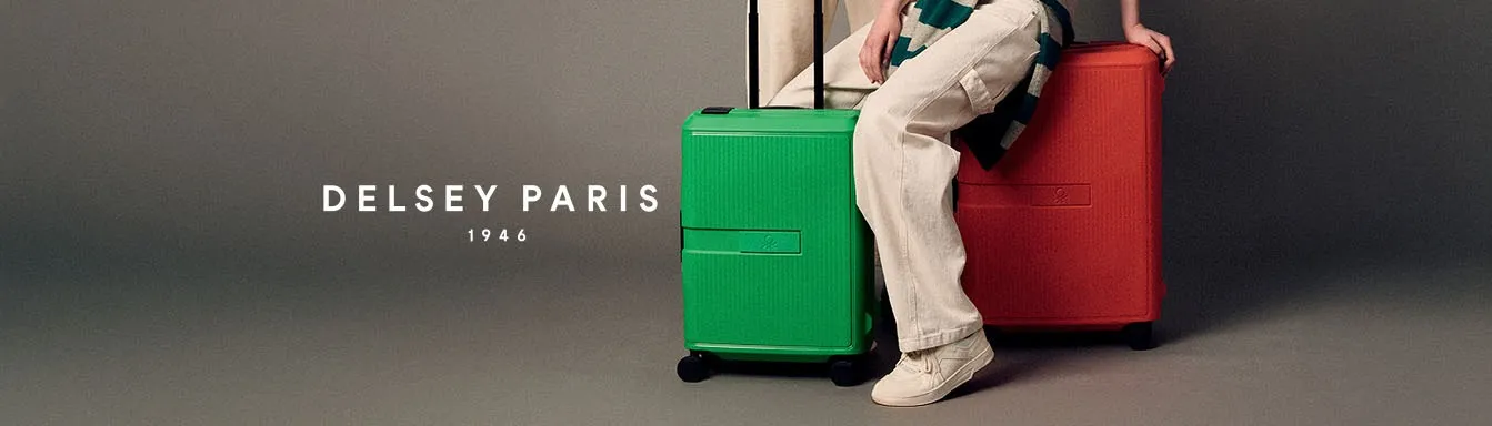 دلسی (Delsey) (3)